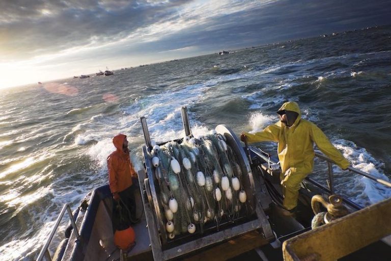 التنظيمات المهنية الإسبانية تحذر من إلغاء اتفاقية الصيد البحري مع المغرب