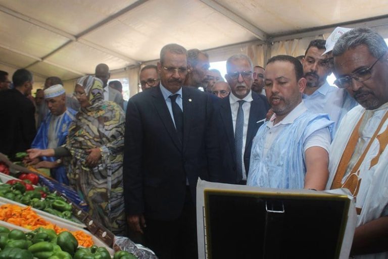المستهلك الموريتاني يشتكي من غلاء الخضر بعد حظر المغرب التصدير الإفريقي