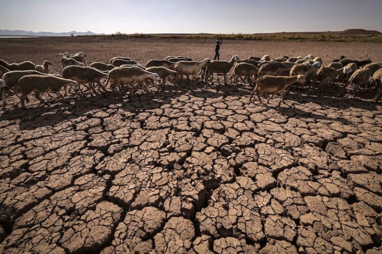 تداعيات الجفاف تفرز تحديات بالجملة أمام توقعات النمو الاقتصادي في المغرب