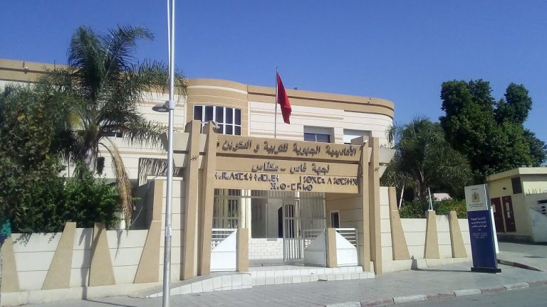جهة فاس مكناس .. أكاديمية التربية تتعبأ لإدماج الأطفال ذوي الاحتياجات الخاصة