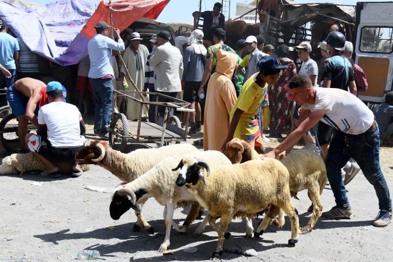 خبراء يتوقعون