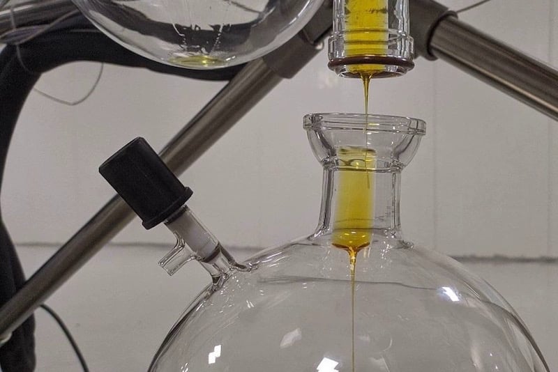 لأول مرة.. المغرب يُصدر منتجا من القنب الهندي القانوني وسط استبشار مستثمرين لأول مرة.. المغرب يُصدر منتجا من القنب الهندي القانوني وسط استبشار مستثمرين