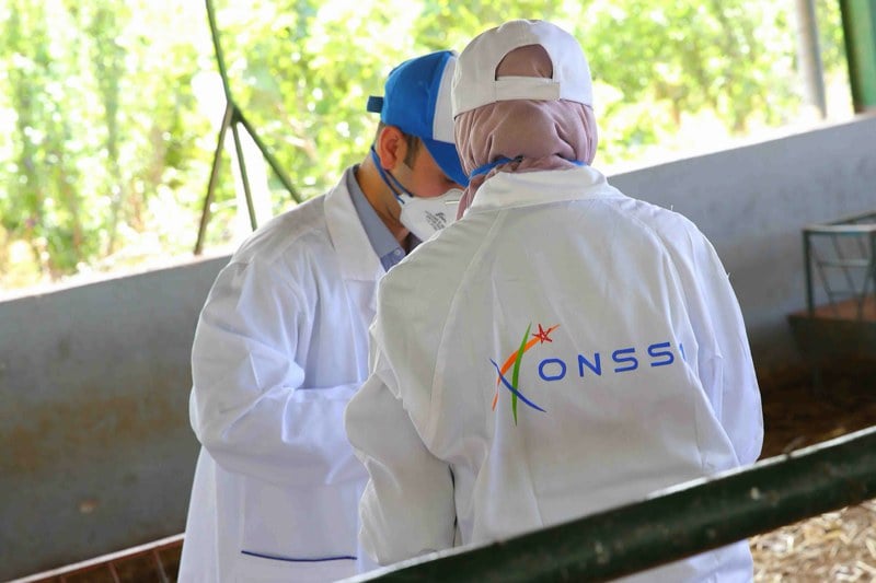 أونسا" يقدّم المنصة الرقمية "أطلس "أونسا" يقدّم المنصة الرقمية "أطلس"