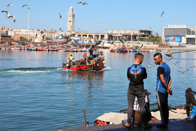 البحارة يطمحون إلى توحيد