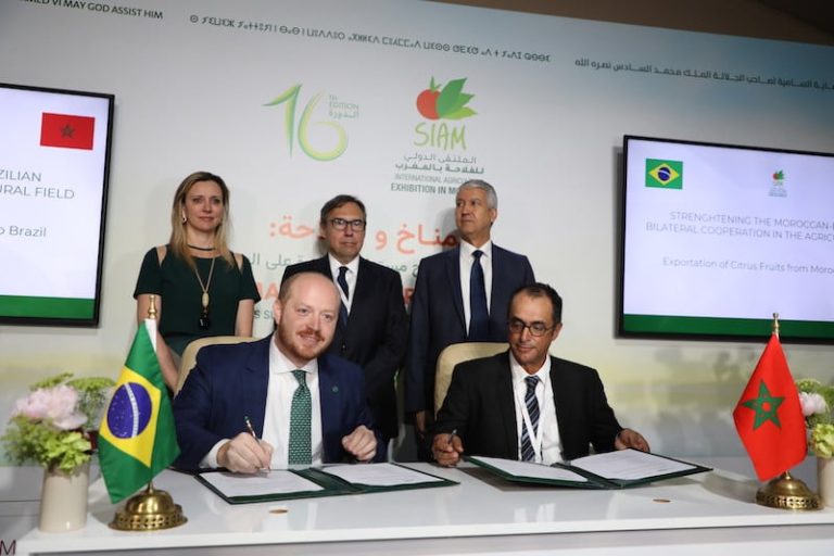 البرازيل تراهن على فتح أسواق المغرب