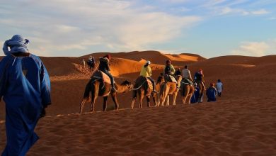 العروض السياحية تتكيف مع انتهاء