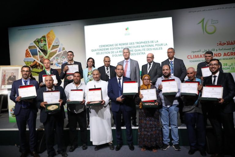 جوائز تشجع تعاونيات وشركات على الجودة في زيت الزيتون البكر الممتازة