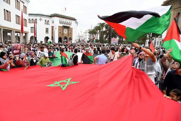 "فلسطين قضية وطنية".. كتاب يصون ذاكرة مواقف النخب والدعم الشعبي