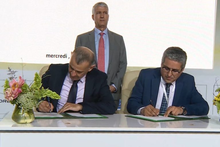 وكالة التنمية الفلاحية تقوي تمويل المشاريع الاستثمارية الوطنية المستدامة