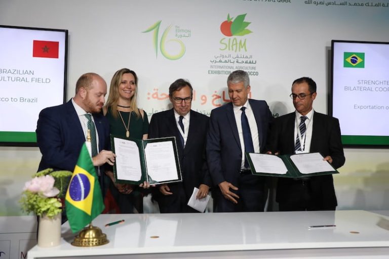 ولوج حمضيات المغرب للأسواق البرازيلية يُقوي فلاحة المملكة بأمريكا اللاتينية