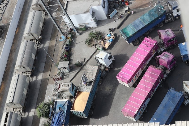 المغرب يتجه إلى رفع حصة استيراد القمح بعد تراجع الإنتاج بحوالي 43 بالمائة المغرب يتجه إلى رفع حصة استيراد القمح بعد تراجع الإنتاج بحوالي 43 بالمائة