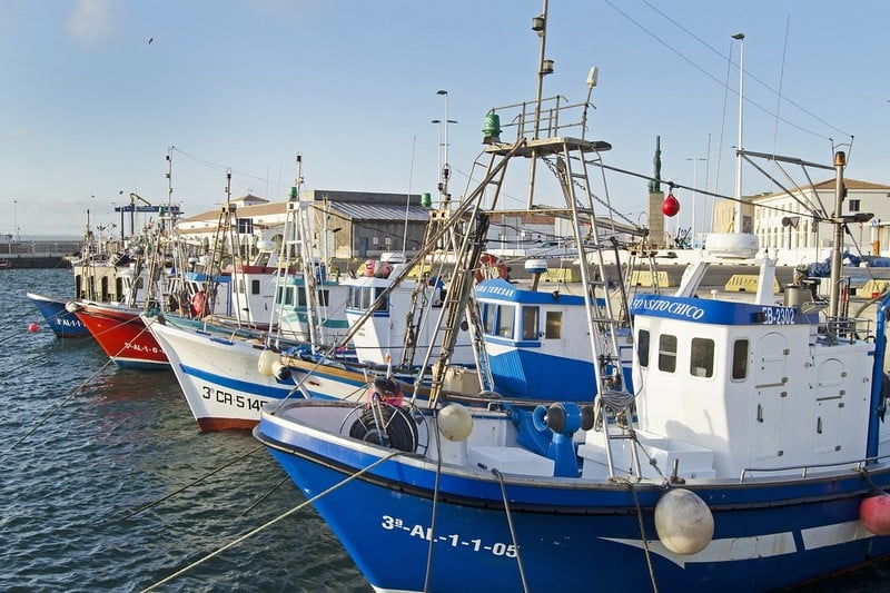 حكومة الأندلس تدعم السفن المتضررة من انتهاء "بروتوكول الصيد" مع المغرب حكومة الأندلس تدعم السفن المتضررة من انتهاء
