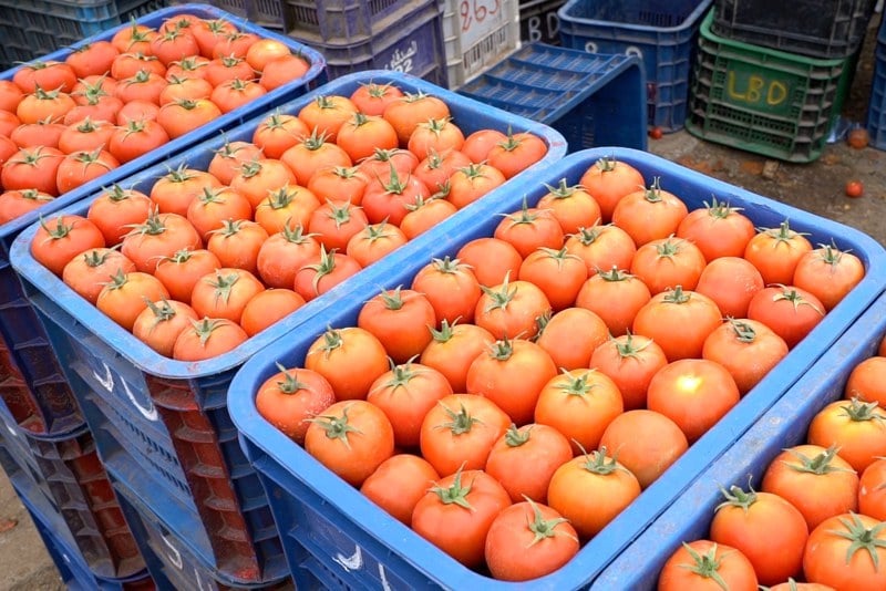 حملات أوروبية تستهدف المنتجات المغربية.. مصدرون: نبحث عن أسواق جديدة حملات أوروبية تستهدف المنتجات المغربية.. مصدرون: نبحث عن أسواق جديدة