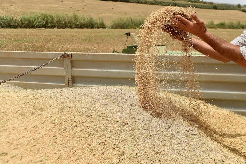 مستوردو الحبوب المغاربة يلوحون بزيادات في الأسعار تتجاوز 10 بالمائة مستوردو الحبوب المغاربة يلوحون بزيادات في الأسعار تتجاوز 10 بالمائة