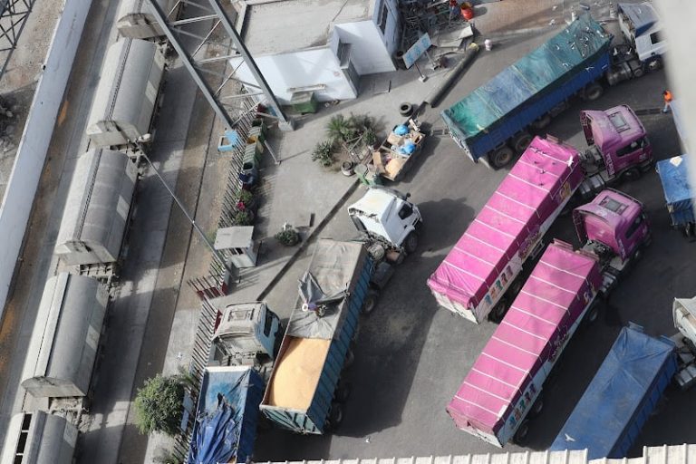 المغرب يتجه إلى رفع حصة استيراد القمح بعد تراجع الإنتاج بحوالي 43 بالمائة