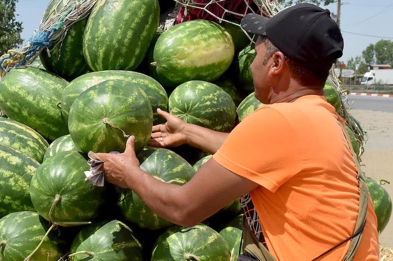 بسبب حظر الزراعة .. فلاحون يتوقعون ارتفاعا قياسيا في أسعار