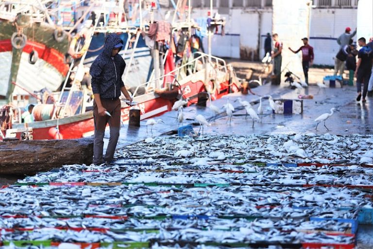 "رابطة الصيد" تنادي بتقوية معايير السلامة البحرية وحماية الثروة السمكية بالمغرب