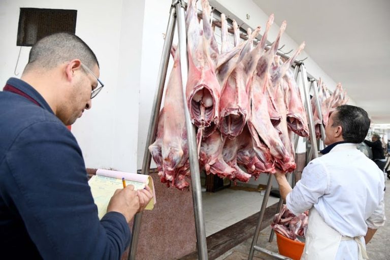 قطاع اللحوم الحمراء يتمسك بالاستيراد .. و