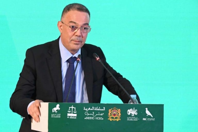 لقجع: الحكومة تواجه المستفيدين من دعم