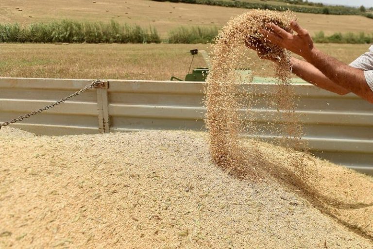 مستوردو الحبوب المغاربة يلوحون بزيادات في الأسعار تتجاوز 10 بالمائة