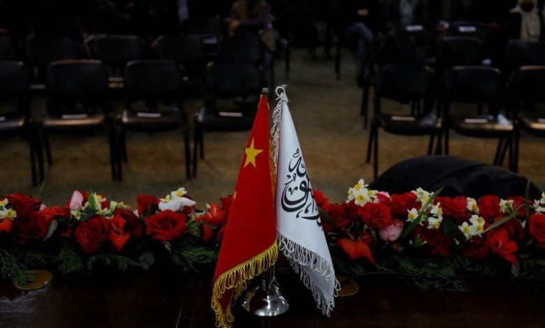 هكذا ساهمت دبلوماسية روسيا والصين في مقاومة "طالبان" للضغوط الغربية هكذا ساهمت دبلوماسية روسيا والصين في مقاومة "طالبان" للضغوط الغربية