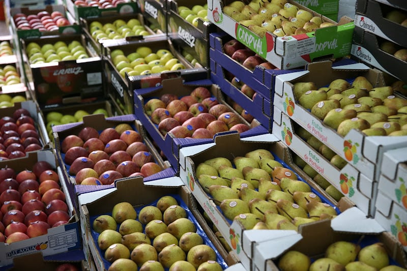 صادرات الإجاص البرتغالية إلى الأسواق المغربية تمثل نسبة 20 في المائة صادرات الإجاص البرتغالية إلى الأسواق المغربية تمثل نسبة 20 في المائة