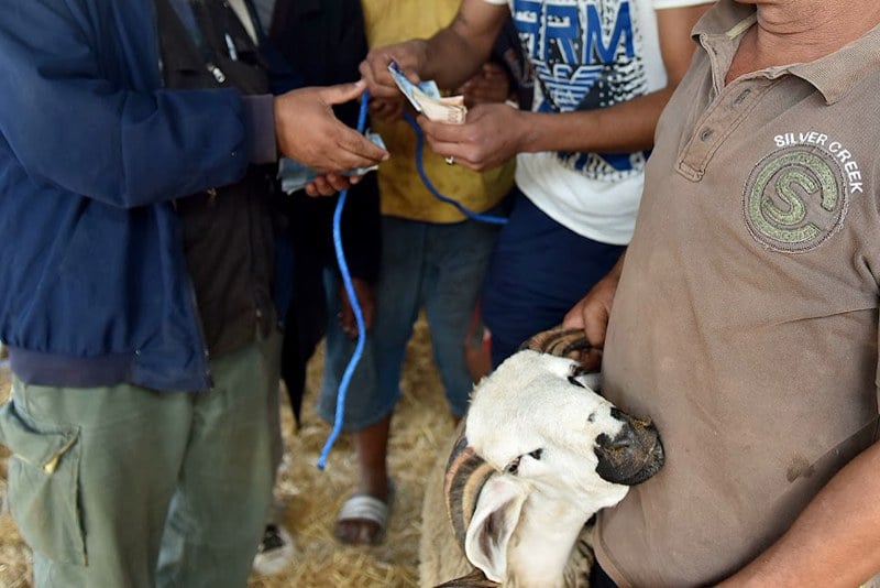 "كاش عيد الأضحى" ينذر بهجرة ألف مليار سنتيم من المدينة نحو البادية "كاش عيد الأضحى" ينذر بهجرة ألف مليار سنتيم من المدينة نحو البادية