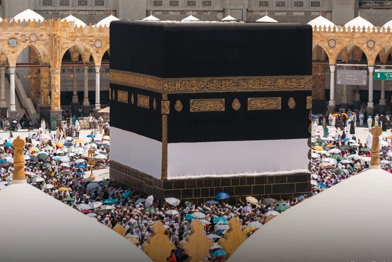 49 حالة وفاة في صفوف حجاج تونس