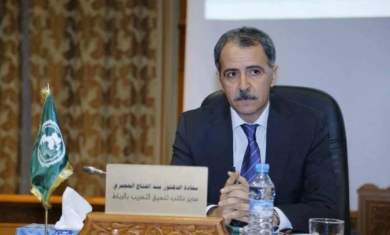 الحجمري: هكذا تتحول الترجمة إلى مجال للإنتاج الثقافي والتبادلات العابرة للحدود