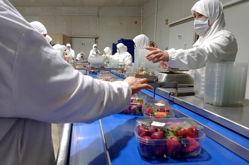 الصمود الاقتصادي يقوي حضور الشركات الإسبانية في الاستثمارات بالمغرب الصمود الاقتصادي يقوي حضور الشركات الإسبانية في الاستثمارات بالمغرب