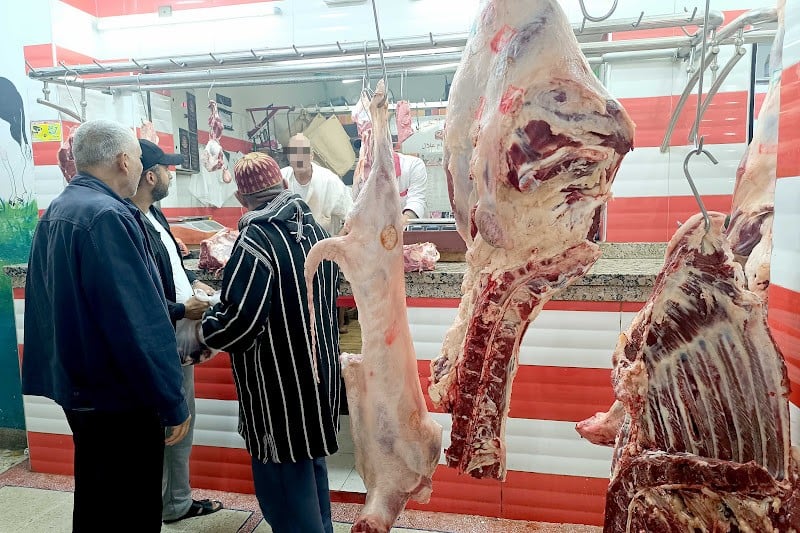حركية بيع اللحوم الحمراء تعود الأسبوع المقبل وسط مخاوف من ارتفاع الأسعار حركية بيع اللحوم الحمراء تعود الأسبوع المقبل وسط مخاوف من ارتفاع الأسعار