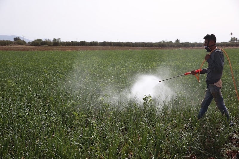 فلاحون: لا مردودية بدون دعم كافٍ .. وتداعيات الجفاف تبعد المستثمرين فلاحون: لا مردودية بدون دعم كافٍ .. وتداعيات الجفاف تبعد المستثمرين