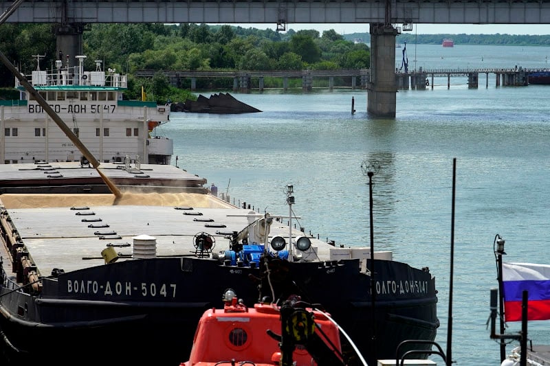 استيراد 220 ألف طن من قمح روسيا استيراد 220 ألف طن من قمح روسيا