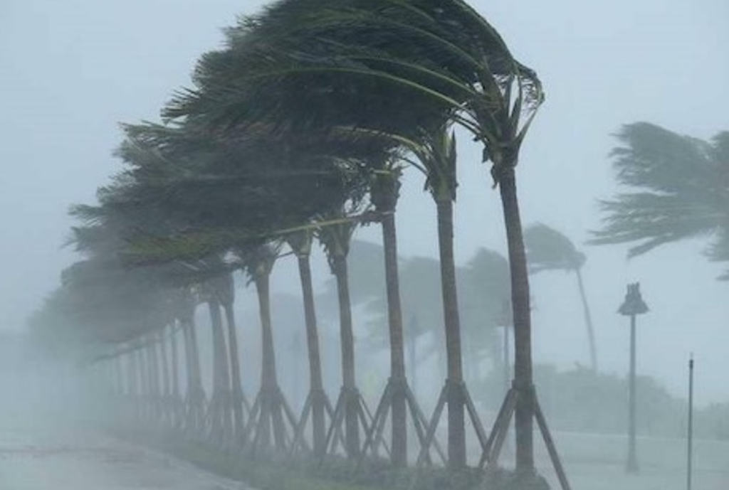 نشرة إنذارية.. زخات رعدية قوية وحبات برد وهبات رياح مرتقبة الأحد نشرة إنذارية.. زخات رعدية قوية وحبات برد وهبات رياح مرتقبة الأحد