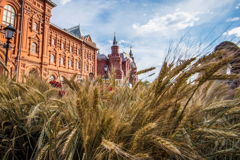 هذه تفاصيل لقاء مرتقب بين مستوردين مغاربة ومصدري الحبوب الروس هذه تفاصيل لقاء مرتقب بين مستوردين مغاربة ومصدري الحبوب الروس