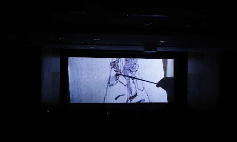 "أجيال" يحتفي بالعام المغربي القطري "أجيال" يحتفي بالعام المغربي القطري