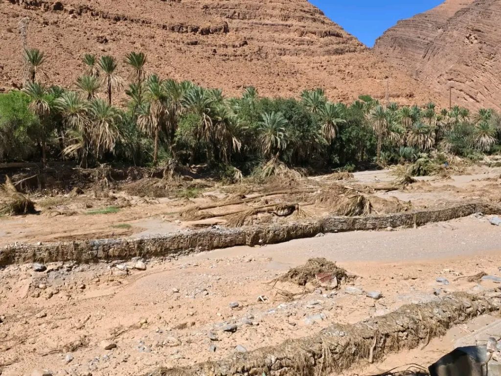 "الأنزوا" تخصص 20 مليون درهم للواحات المتضررة من فيضانات طاطا