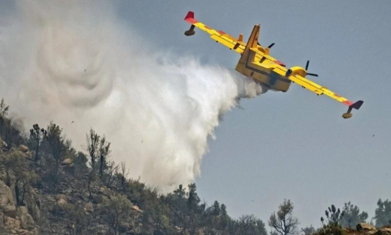 انخفاض ملحوظ في عدد حرائق الغابات والمساحات المتضررة بالمغرب خلال سنة 2024 انخفاض ملحوظ في عدد حرائق الغابات والمساحات المتضررة بالمغرب خلال سنة 2024