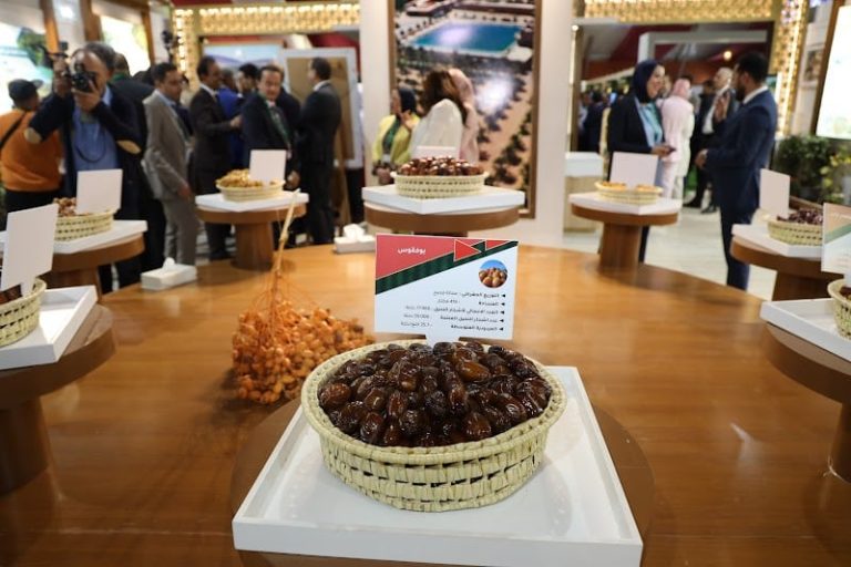 حصيلة الملتقى الدولي للتمور بالمغرب