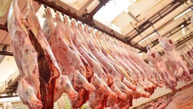 مهنيون يبسطون سيناريوهات استيراد اللحوم لتحقيق الاكتفاء في المغرب