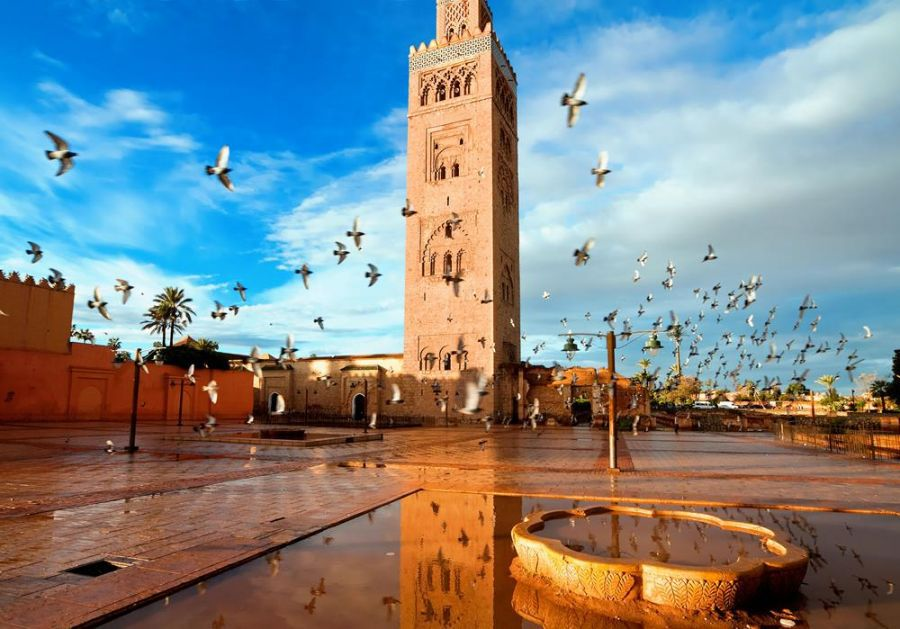 مراكش تحتضن أشغال المؤتمر الوطني السادس لحفظ الصحة والسلامة العمومية