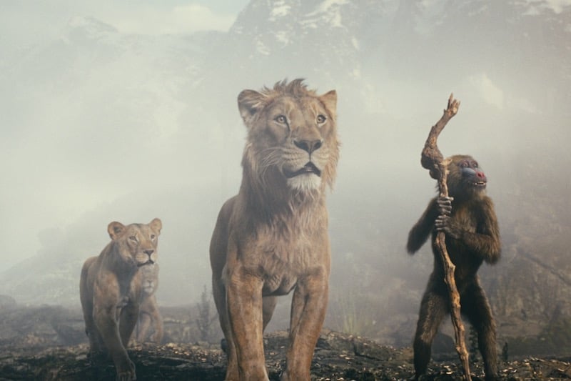 "الملك الأسد" في القاعات المغربية "الملك الأسد" في القاعات المغربية