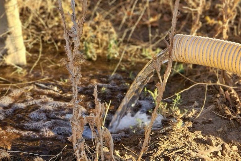 تسقيف حصص الماء يهدد التونسيين