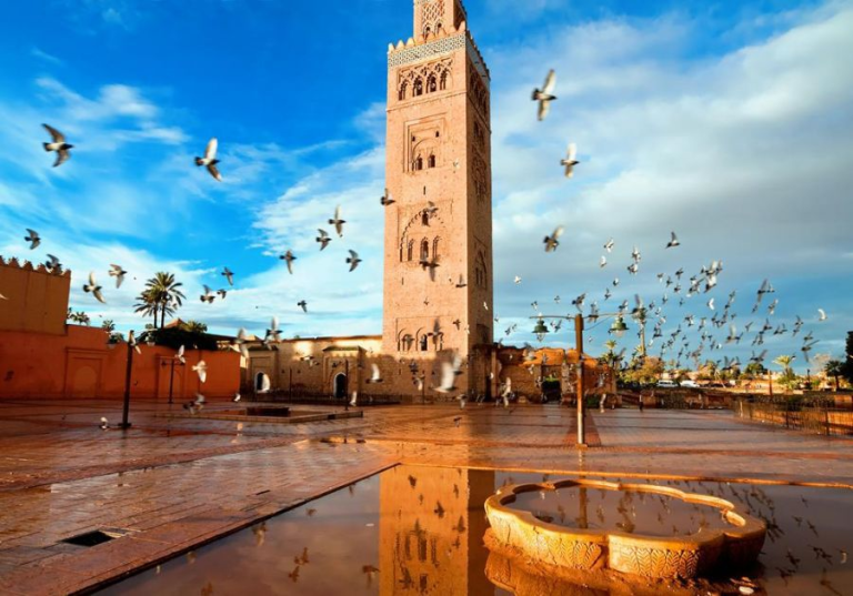 مراكش تحتضن أشغال المؤتمر الوطني السادس لحفظ الصحة والسلامة العمومية