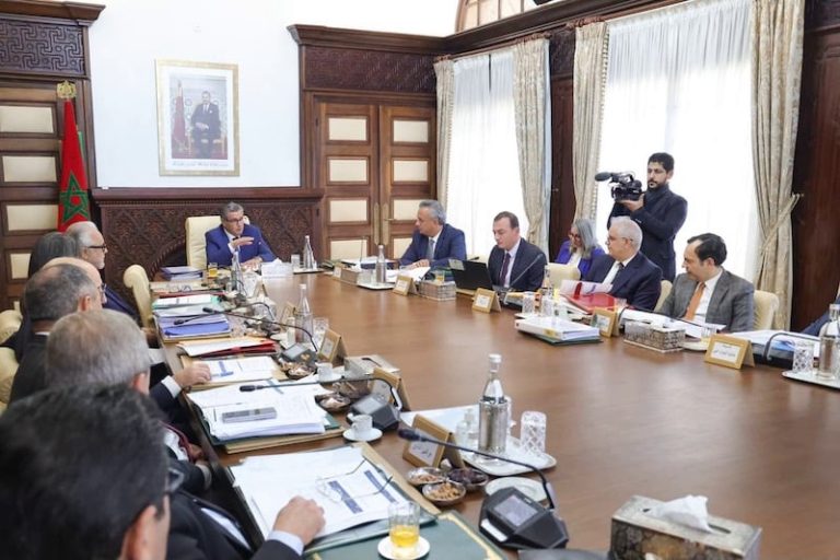 مشاريع استثمارية بـ113 مليار درهم