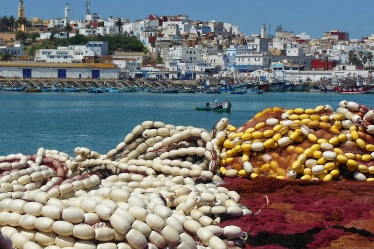 مهنيون يطالبون بإعادة تحديد مناطق الصيد لاسترجاع الثروة السمكية المفقودة