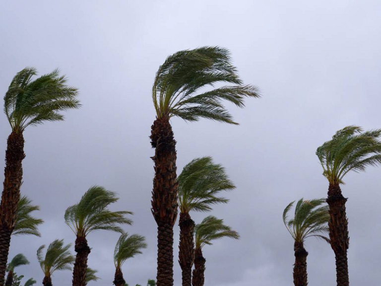نشرة إنذارية .. هبات رياح قوية مرتقبة يوم الاثنين في العديد من الأقاليم نشرة إنذارية .. هبات رياح قوية مرتقبة يوم الاثنين في العديد من الأقاليم