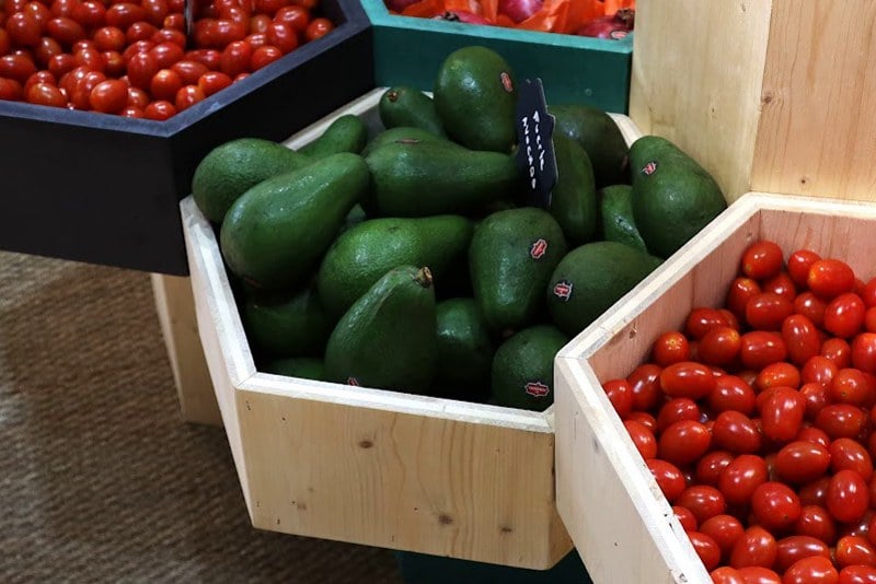 المغرب يصدر 42 ألف طن من الأفوكا في 3 أشهر إلى الأسواق الأوروبية