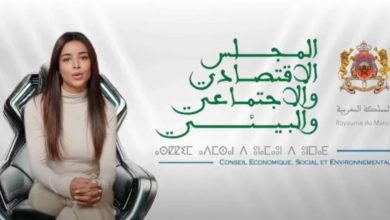المجلس الاقتصادي والاجتماعي والبيئي يطلق شخصيته الافتراضية الأولى "رؤية"