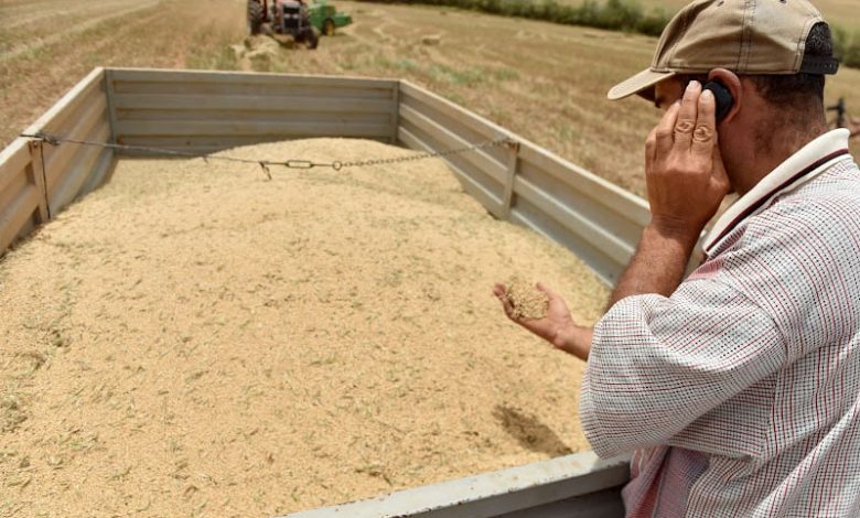 المملكة تراهن على التنوع الاقتصادي في مواجهة الجفاف والإجهاد المائي المملكة تراهن على التنوع الاقتصادي في مواجهة الجفاف والإجهاد المائي